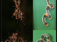 Довольно регулярно, я делаю обзоры по новым технологиям и стартапам, которые меня интересуют. Это в основном EdTech, AI, Robotics, Game, VR…технологии. Я даже завел специальную страницу, где есть лента новостей, кому интересно, подпишитесь здесь: https://www.facebook.com/startupcanada.ru