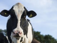 AgroTech в Канаде – не все так хорошо в этой отрасли, есть куда приложить силы стартапам. Если вы связаны с сельхозпроизводством, посмотрите этот материал.