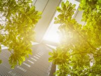 13 канадских компаний вошли в рейтинг Global Cleantech 100 2022 года.