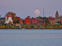 Экосистема Fredericton, NB Canada. Стартапы бывают разные – локлаьные и масштабируемые.
