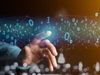 Что такое “маркировка данных” (data labeling)? Рынок новых стартапов, обслуживающих потребности в обучении моделей ИИ. AI. data labeling. Canada.