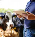 Как AI используется  в повышении эффективности молочных ферм в США? Ai. Farm. Milk.